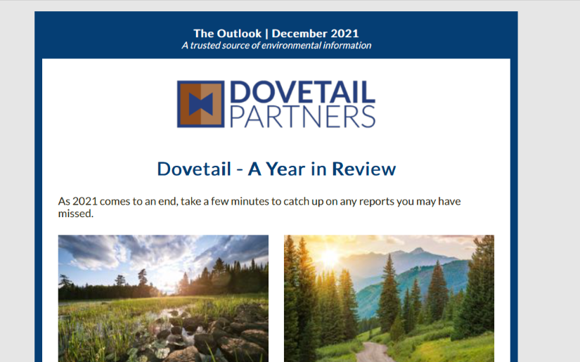 December 2021 Outlook 